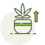 Higher Yield